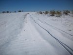 100_1849.JPG