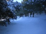 Imagen 014.jpg