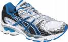 Asics gel nimbus 10.jpg