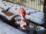 gallina.jpg