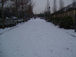 100_2463.jpg
