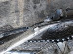Hoyo110108Rohloff_026.jpg