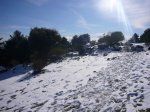 Foto11.JPG