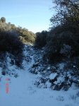 DSC03510.jpg
