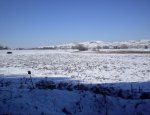 PC290309.JPG