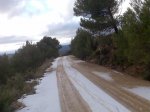 Imagen032.jpg