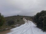 Imagen045.jpg