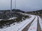 DSC06800.JPG