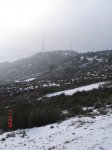 DSC06799.JPG