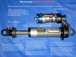 DHX-oil-1.jpg