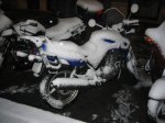 IMG_3754.jpg