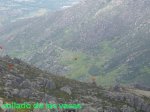 Foto54.JPG