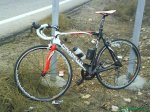 DSC00443.JPG