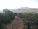 IMG_4522.jpg