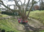 Visita%20al%20Puerto%20de%20Santander%20(54).jpg