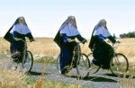 bicycles.jpg