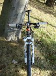 DSC03374.jpg