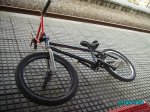 PICT0958.jpg