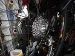 DSC02665.jpg