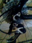 IMG0054A.jpg