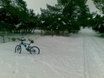 14012009(008).jpg