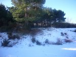 Foto3.JPG