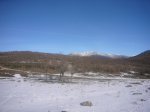 Foto7.JPG