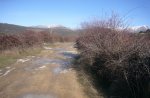 Foto14.JPG