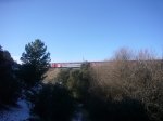 Foto17.JPG