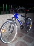 bici2.JPG