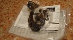 DSC00216.jpg