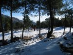 IMG_4940.jpg