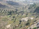 Imagen 027.jpg