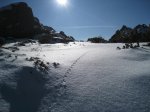 IMG_4989.jpg