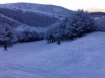 14012009960.jpg