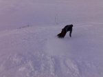 14012009971.jpg