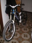 IMGP2897.jpg