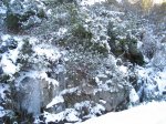 IMG_4952.jpg