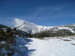IMG_4965.jpg