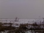 09012009241.jpg