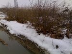 09012009242.jpg