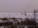 09012009243.jpg