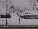 09012009244.jpg