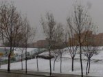 09012009245.jpg