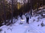 14012009250.jpg