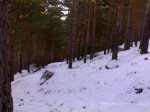 14012009253.jpg