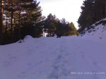14012009257.jpg