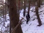14012009279.jpg