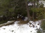 14012009297.jpg