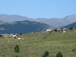 DSC04189.JPG